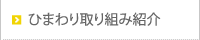 ひまわり取り組み紹介