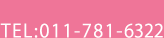 TEL:011-781-6322