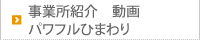 事業所紹介動画パワフルひまわり