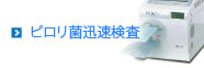 ピロリ菌迅速検査